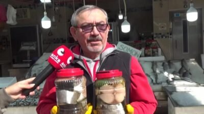 Sinop’ta taze palamutlardan hazırlanan, 2 kilogramlık kavanozlarda salamura edilen lakerdalar