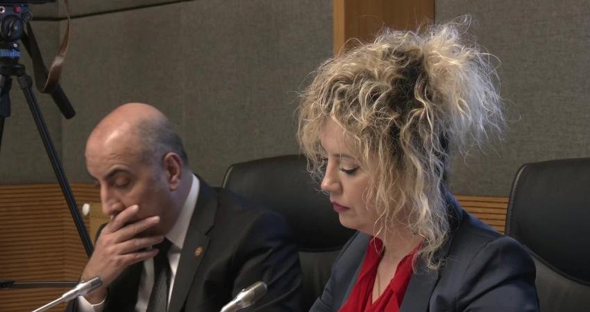 TBMM'de Suça Sürüklenen Çocuklara Yönelik Araştırma Komisyonu'nda sunum yapan akademisyen ve