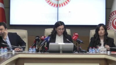 TBMM'de Suça Sürüklenen Çocuklara Yönelik Araştırma Komisyonu'nda mağdur aileler dinlendi. İstanbul'da