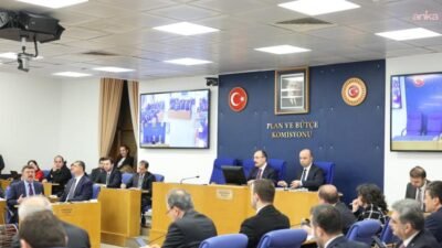 CHP Rize Milletvekili Tahsin Ocaklı, TBMM Plan ve Bütçe Komisyonu'nda