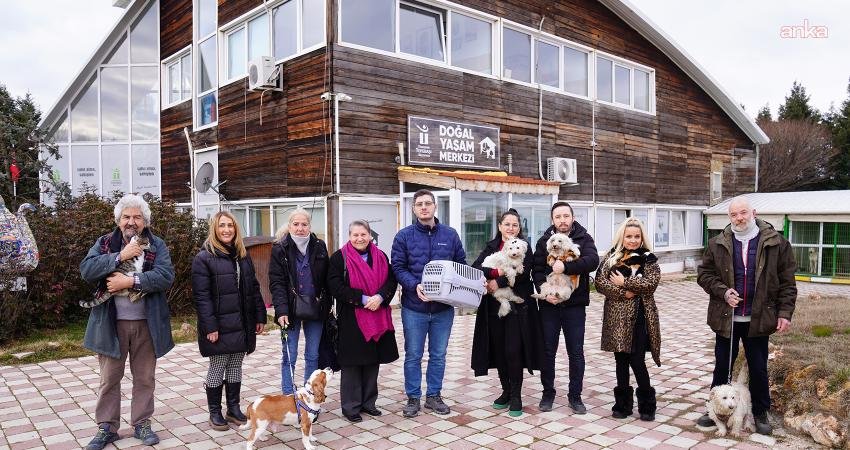 Tepebaşı Belediyesi, 2 ayda 138 sokak hayvanını sahiplendirdi Tepebaşı Belediyesi, ocak ve şubat aylarında Doğal Yaşam Merkezi aracılığıyla toplam