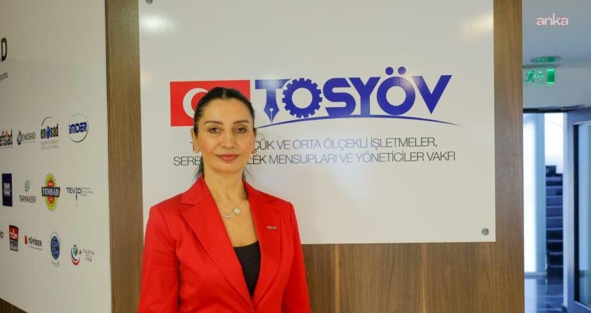 Türkiye Küçük ve Orta Ölçekli İşletmeler, Serbest Meslek Mensupları ve