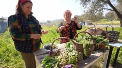 Urla’da 28–29 Mart tarihlerinde düzenlenecek Mart Dokuzu Ot Bayramı, sürdürülebilirlik