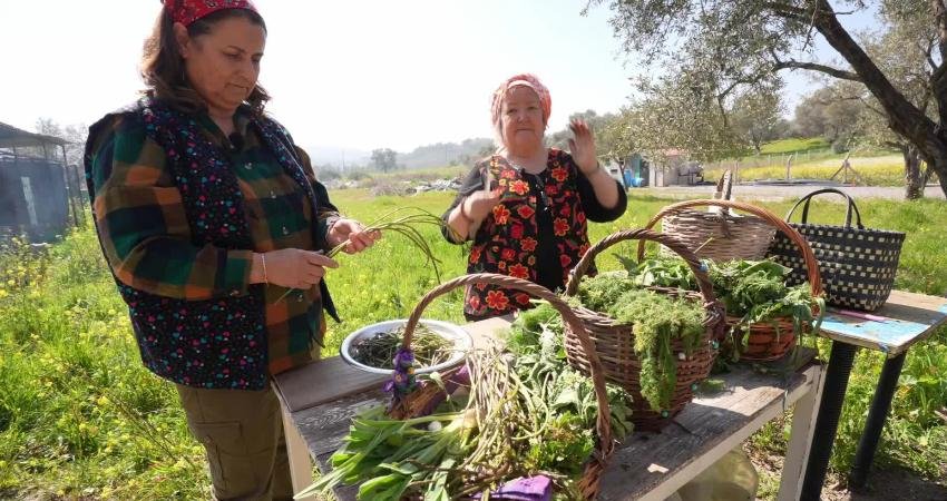 Urla’da 28–29 Mart tarihlerinde düzenlenecek Mart Dokuzu Ot Bayramı, sürdürülebilirlik