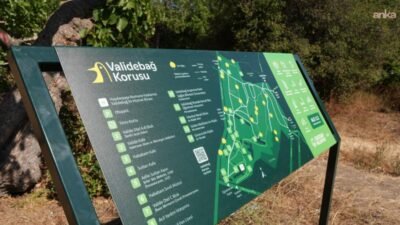 Üsküdar Belediyesi’nin “CARE Validebağ” uygulaması, Avrupa Birliği (AB) destekli European