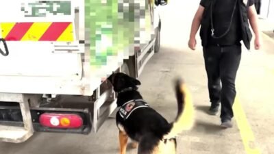  Van İl Emniyet müdürlüğü Edremit ilçesinde düzenlenen iki ayrı operasyonda