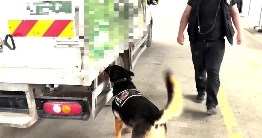 Van İl Emniyet müdürlüğü Edremit ilçesinde düzenlenen iki ayrı operasyonda