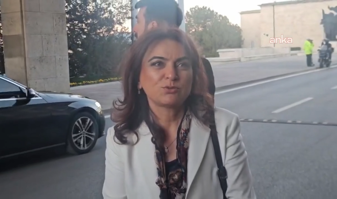 TBMM Başkanı ve Milli Dayanışma Kardeşlik ve Demokrasi Komisyonu Başkanı