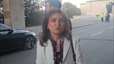 TBMM Başkanı ve Milli Dayanışma Kardeşlik ve Demokrasi Komisyonu Başkanı