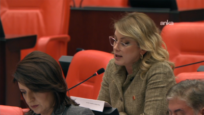 CHP Kadın Kolları Genel Başkanı Asu Kaya, TBMM Genel Kurulu’nda,