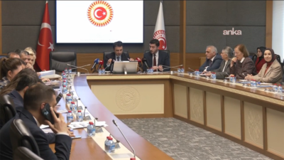 TBMM'de Suça Sürüklenen Çocuklara Yönelik Araştırma Komisyonu'nda sunum yapan akademisyen ve