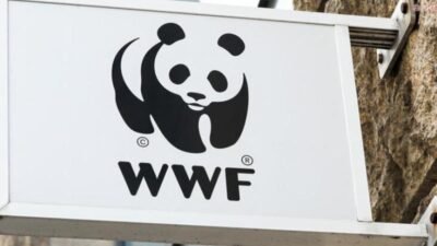 Doğal Hayatı Koruma Vakfı (WWF-Türkiye), TBMM Genel Kurulu’nda görüşülen Milli