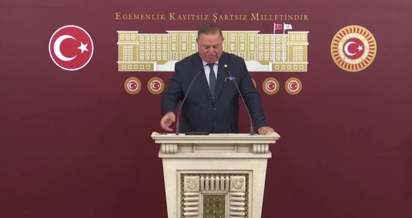 Yeniden Refah Partisi Genel Başkan Yardımcısı ve İstanbul Milletvekili Doğan