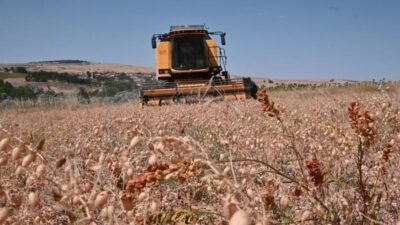Yozgat Bozok Üniversitesi Ziraat Fakültesi Tarım Ekonomisi Bölüm Başkanı Doç.