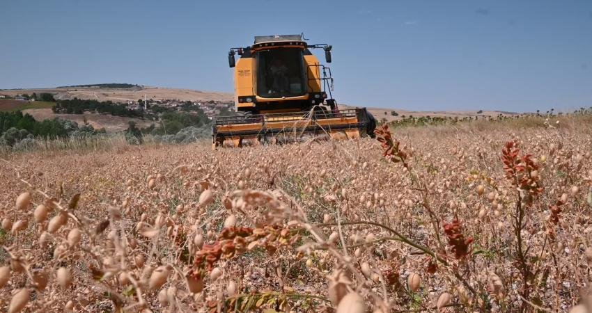 Yozgat Bozok Üniversitesi Ziraat Fakültesi Tarım Ekonomisi Bölüm Başkanı Doç.