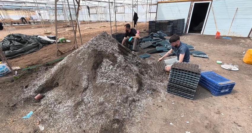 Yozgatlı “Tohum Ana” 20 yıldır topladığı ata tohumlarından kendi “Tohum Bankası”nı kurdu Yozgat’ın Boğazlıyan ilçesinde yaşayan 76 yaşındaki Ziraat Mühendisi Zehra Altıntaş,