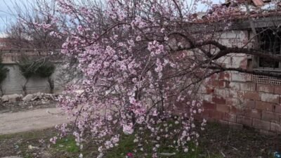 Yozgat'ta soğuk hava ve yağışların ardından hava sıcaklıklarının mevsim normallerinin