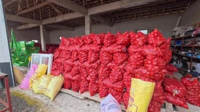 Yozgat’ta çiftçiler, 6-7 liraya mal ettikleri mor soğanı aracıların tarlada