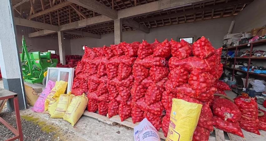 Yozgat’ta çiftçiler, 6-7 liraya mal ettikleri mor soğanı aracıların tarlada