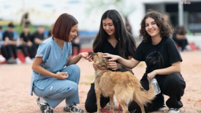 İzmir Büyükşehir Belediyesi, 4 Nisan Dünya Sokak Hayvanları Günü’nde bakımevlerinde