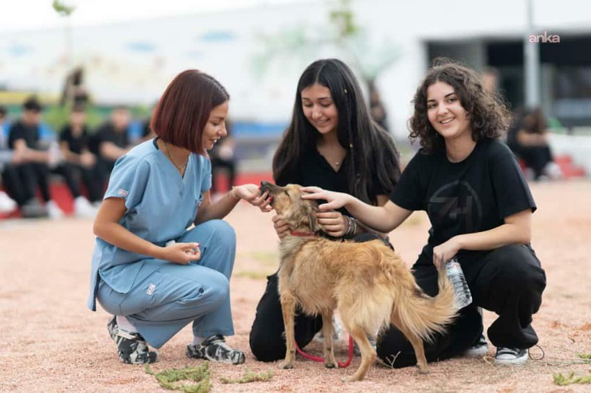 İzmir’de barınaklardan 3 binin üzerinde hayvan sahiplendirildi İzmir Büyükşehir Belediyesi, 4 Nisan Dünya Sokak Hayvanları Günü’nde bakımevlerinde