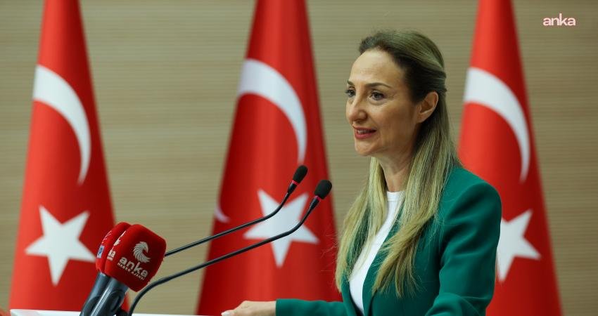 CHP'nin Aile ve Sosyal Hizmetler Politika Kurulu Başkanı Aylin Nazlıaka, 2