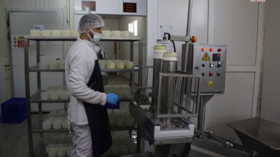 Eskişehir Büyükşehir Belediyesi tarafından Mahmudiye’de hayata geçirilen "Halk Süt İşleme