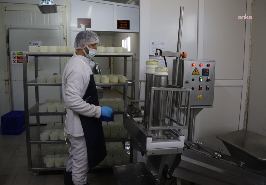 Eskişehir Büyükşehir Belediyesi tarafından Mahmudiye’de hayata geçirilen "Halk Süt İşleme