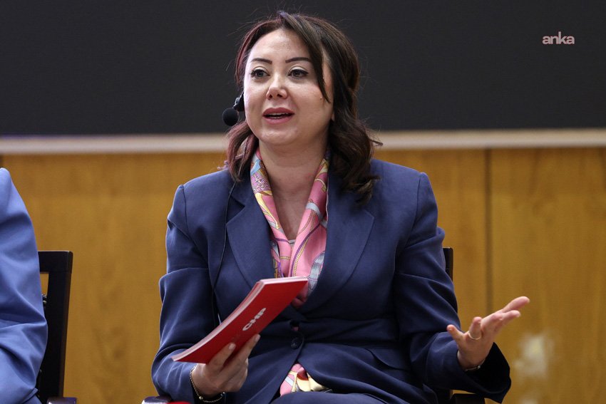 Sosyal Demokrasi Derneği'nin(SDD), düzenlediği “Dokuz Umde’den Sosyal Demokrat Programa” etkinliğinde