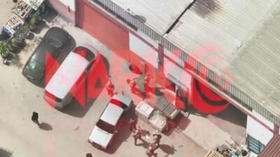 İçişleri Bakanlığı, 59 ilde son 4 günde düzenlenen uyuşturucu operasyonlarında