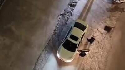 İçişleri Bakanlığı koordinasyonunda 71 ilde düzenlenen uyuşturucu operasyonlarında yakalanan 903