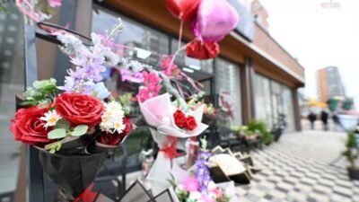 Mersin Büyükşehir Belediyesi Meslek Edindirme ve Eğitim Merkezi (MERCEK), kursiyerlerine