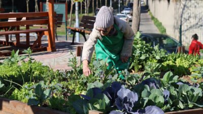 Ataşehir Belediyesi’nin vatandaşlara doğal tarım yapma fırsatı sunduğu 'Kent Bostanları'nda