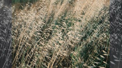 Ozan Çoban, akustik ve elektronik öğeleri bir araya getirdiği müzik