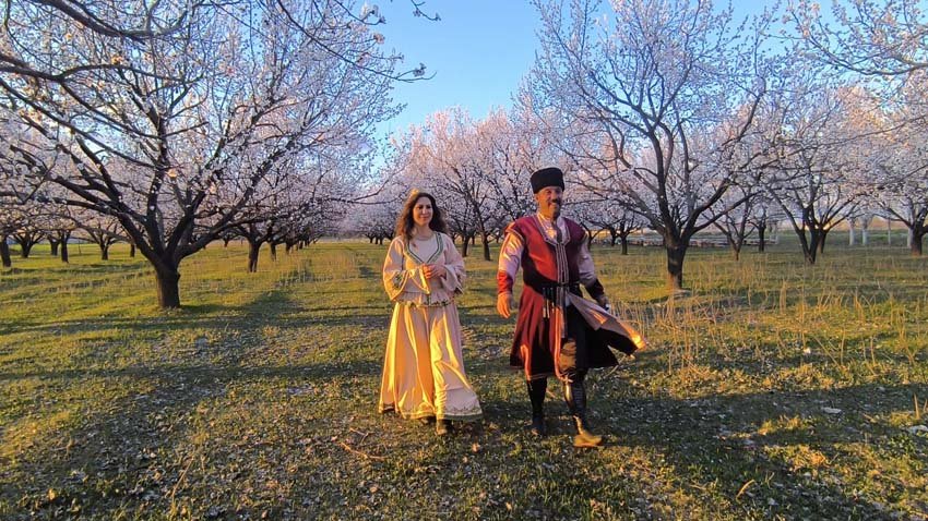 Türkiye’nin önemli kayısı üretim merkezlerinden Iğdır’da bahar, kayısı ağaçlarının çiçek