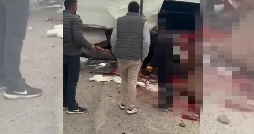 Adana’da düzenlenen koşuya katıldıktan sonra Elazığ Hipodromu’na götürülmek üzere yola