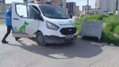 Adıyaman’da duyarlı vatandaşların dikkati, yavru kedilerin hayata tutunmasını sağladı. Adıyaman