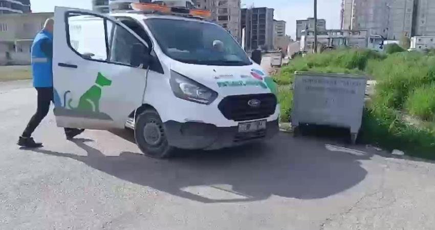 Adıyaman’da duyarlı vatandaşların dikkati, yavru kedilerin hayata tutunmasını sağladı. Adıyaman