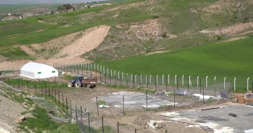 Adıyaman Belediyesi, Halk Ekmek ve sebze üretiminin ardından yumurta üretimine
