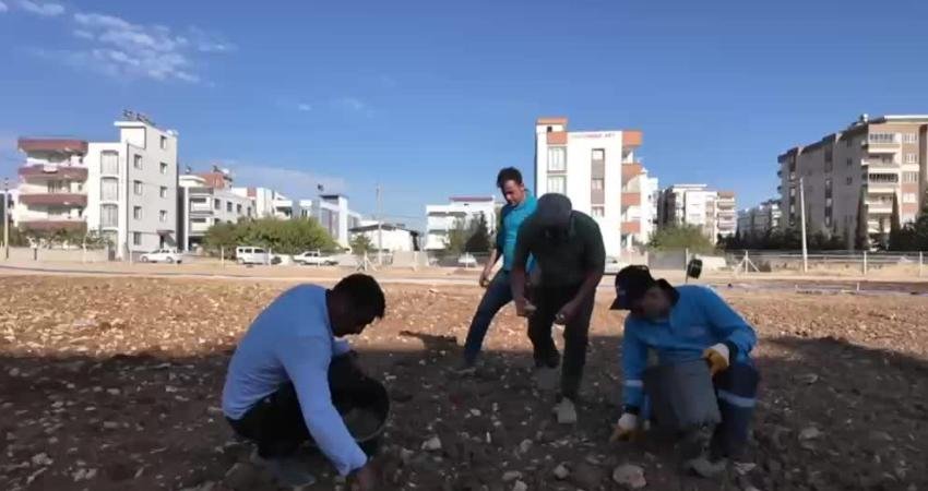 Adıyaman Belediyesi, kente bir yeni park daha kazandırdı. Deprem sonrası