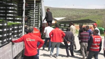 Ankara Büyükşehir Belediyesi, 8 ilçedeki 268 çiftçiye toplamda 624 bin