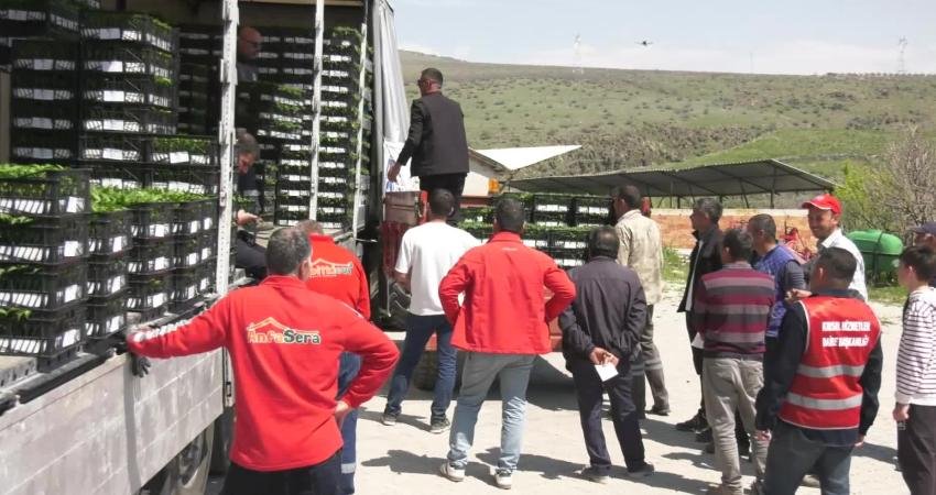 Ankara Büyükşehir Belediyesi, 8 ilçedeki 268 çiftçiye toplamda 624 bin