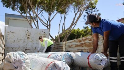 Antalya Büyükşehir Belediyesi Tarımsal Hizmetler Dairesi Başkanlığı ekipleri, Kumluca ilçesinde