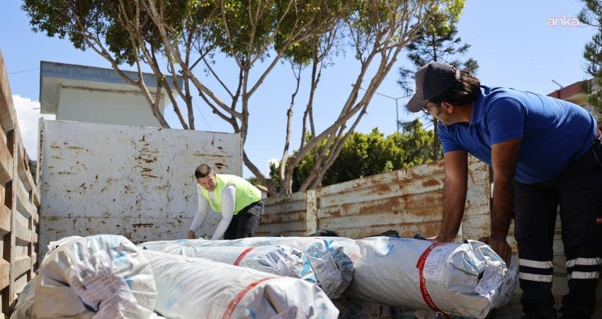 Antalya Büyükşehir Belediyesi Tarımsal Hizmetler Dairesi Başkanlığı ekipleri, Kumluca ilçesinde