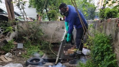 Antalya Büyükşehir Belediyesi, çevre ve insan sağlığını tehdit eden sivrisinek,
