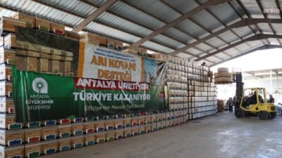 Antalya Büyükşehir Belediyesi, kentte arıcılık faaliyetlerinin yaygınlaştırılması için eğitim ve