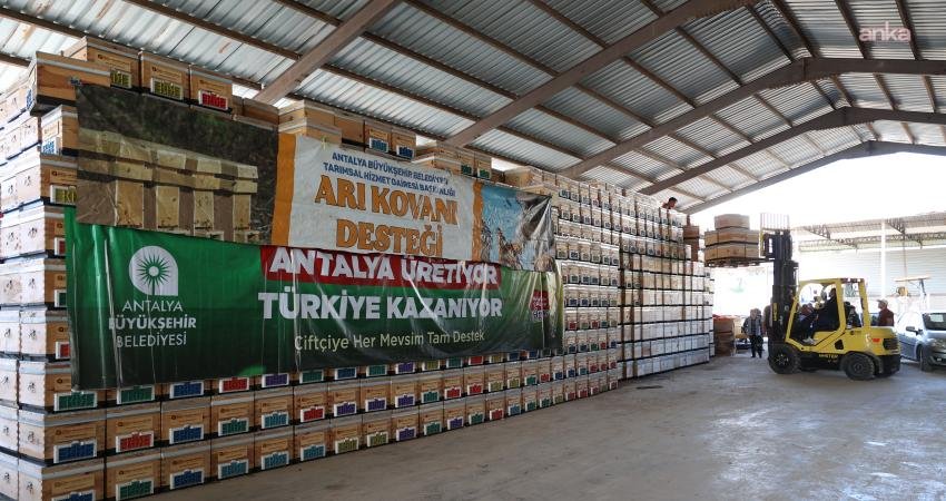 Antalya Büyükşehir Belediyesi’nin destekleriyle kentte arıcılık yaygınlaşıyor Antalya Büyükşehir Belediyesi, kentte arıcılık faaliyetlerinin yaygınlaştırılması için eğitim ve