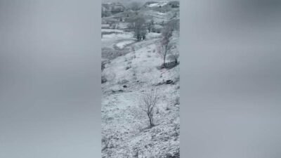 Artvin’in Şavşat ilçesine bağlı Çoraklı Köyü yolunda sabah saatlerinde meydana