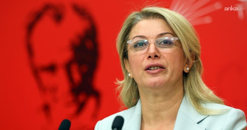 CHP Kadın Kolları Genel Başkanı Asu Kaya, İçişleri Bakanı Mustafa