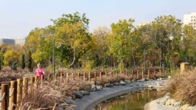 İBB tarafından hayata geçirilen Ayamama Yaşam Vadisi, Avrupa şehirlerinin sürdürülebilir